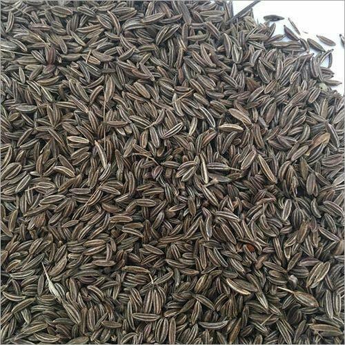 Indian Premium Black Cumin Seed, Shahi jeera Caraway Seeds Shah jeera FREE SHIP - $14.21 - $92.38
