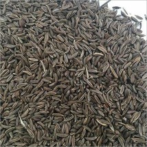 Indian Premium Black Cumin Seed, Shahi jeera Caraway Seeds Shah jeera FREE SHIP - £11.35 GBP+
