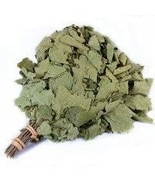 Set of 50 Oak Leaf Sauna Whisk Banya Venik , Дубовый веник для бани,saun... - $10,355.48 MXN