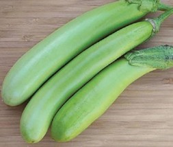 25 Louisiana Long Green Eggplant Solanum Melongena Fruit Vegetable Seeds - $8.35