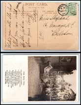 1904 Postcard Great Britain, Penryn? To ? B8 - £2.37 GBP