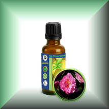 Rose De Mai Essential Oil (Rosa Centifolia) - $112.94 MXN+