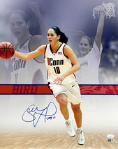 Sue Oiseau Signé 16x20 Uconn Huskies Collage Photo JSA Steiner - £121.39 GBP