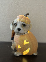 Cute puppy Lab Dog in Pumpkin Halloween Decor Led Light Up 10” Tall - £29.56 GBP