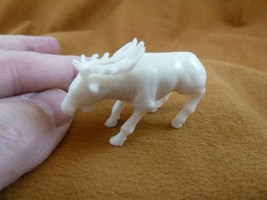 tb-elk-7 little white buck Elk Tagua NUT palm figurine Bali carving Moos... - £42.71 GBP