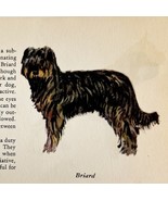 Briard 1939 Working Dog Breed Art Ole Larsen Color Plate Print Antique P... - $29.99