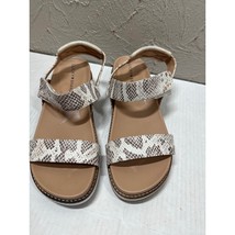 NWOT Lucky Brand Ladan Faux Leather Snake Skin Print Platform Sandals Si... - $820.07 MXN