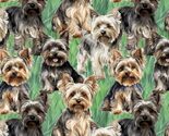 Cotton Yorkies 2 Dogs Puppies Animals Pets Cotton Fabric Print by Yard D... - $15.95