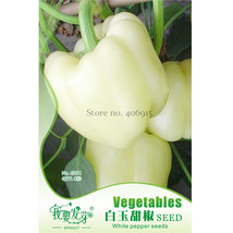 Sweet White Bell Pepper Seeds, Original Pack, 8 Seeds / Pack, Heirloom Non-GMO T - $3.50