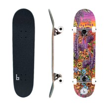 Four Color Options, 31 In. X 7.75 In. Complete Skated, with 7-Ply Maple Deck and - £120.05 GBP