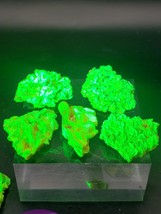 Autunite Radioactive Uranium Ore Green Glowing UV Crystal Mineral Specimen - $69.00