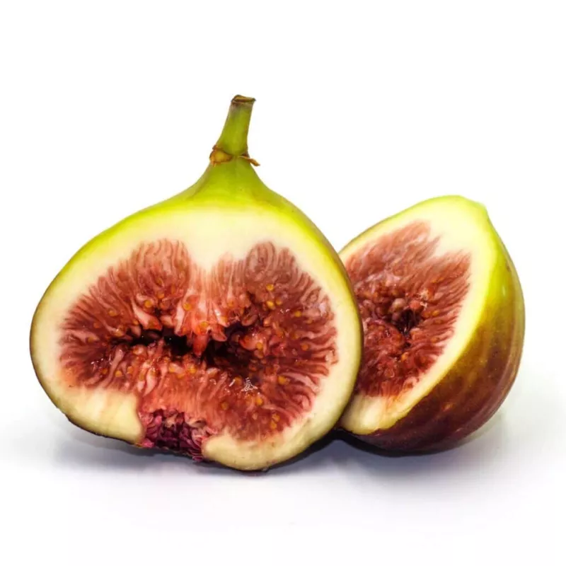 100 Brown Turkey Fig Seeds for Garden Planting - £4.29 GBP