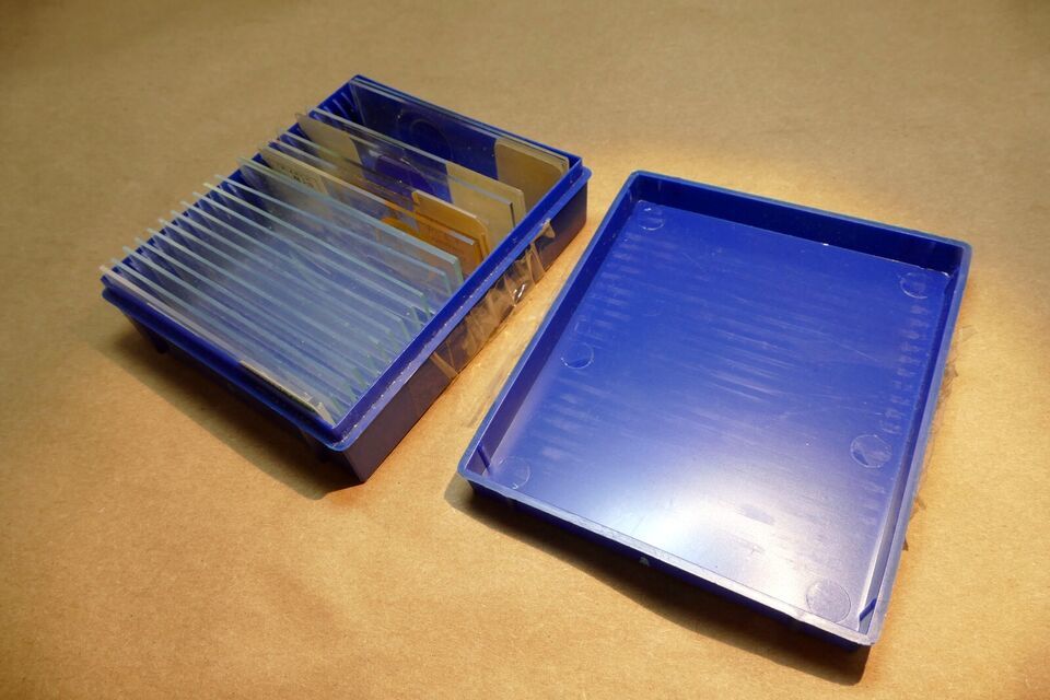 Carolina Biological  Supply  Flatpack Freezer Slide Set - $74.10