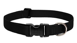 LupinePet Basics 1&quot; Black 16-28&quot; Adjustable Collar for Large Dogs - $21.68