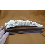 TURT-65 bale of five Tortoise Turtle in row shed ANTLER figurine Bali de... - $230.89 CAD