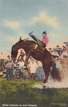 Buddy Timmons on Jack Dempsey Cowboy Rodeo Horse Bronco Postcard D30 - £2.39 GBP