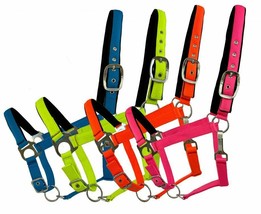 Fluorescent Neoprene Lined Nylon Horse Size Halter Blue - Pink - Orange ... - £10.43 GBP