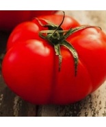 2000 Seeds Beefsteak Tomato NON-GMO Heirloom Fresh Vegetable - £17.23 GBP
