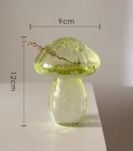 Transparent hydroponic flower vase for tabletop decor - $28.00