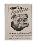 1941 Bulldog Tough but Delicate Stomach Pard Dog Food Vintage Print Ad - £11.97 GBP