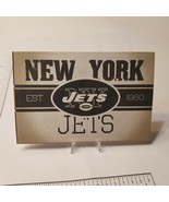 NFL Logo Sticker 24 of 32 New York Jets 2016 NFL4834 4&quot;x2.75&quot; - $4.93