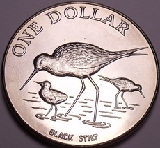 Rare Gem Unc New Zealand 1985 Dollar~60,000 Minted~Black Stilt~Excellent~Free Sh - £17.45 GBP