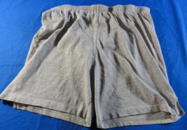 Usgi 1990s Army Issue Pfu Physical Fitness Uniform Trunks Gray Shorts Medium - $16.52