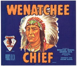 1940&#39;s Crate Label Vintage Native American Indian Arrowhead Chief Wenatchee - £9.98 GBP