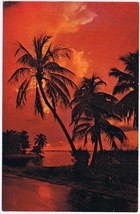 Postcard Sunset Palms Florida Land Of Tropical Beauty - $2.96