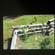 Stacked Wood Log Frontier Fence 1979 Found 35mm Pakon Slide Photo OOAK - £6.63 GBP