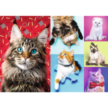 1000 Piece Jigsaw Puzzles, Happy Cats, Pets, Silly Animals, Cats and Kittens, Ad - £14.93 GBP