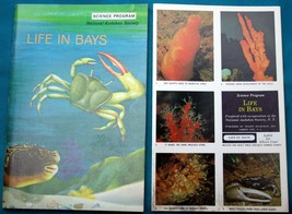 c1965-71 Nat&#39;l Audubon Society 6-9 GR homeschool Science Program LIFE IN BAYS - £7.25 GBP