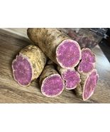 6  -Rooted Okinawa Sweet Potato Seedlings.order now  2 or 3 day (priority mail) - £19.97 GBP