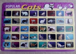 Vintage 2009 Rushkin Popular Cats Painless Learning Placemat - $13.71