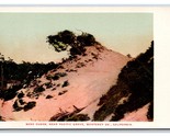 Pacific Grove Sand Dunes Monterey California CA UNP UDB Postcard M17 - $3.91