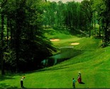Doré Fer à Cheval Golf Parcours Williamsburg VA Virginia Unp Chrome Post... - $4.04
