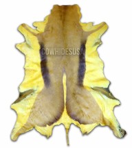 Dyed Springbok Skin Large Top quality antelope skin in assorted dyed colors  - £49.61 GBP