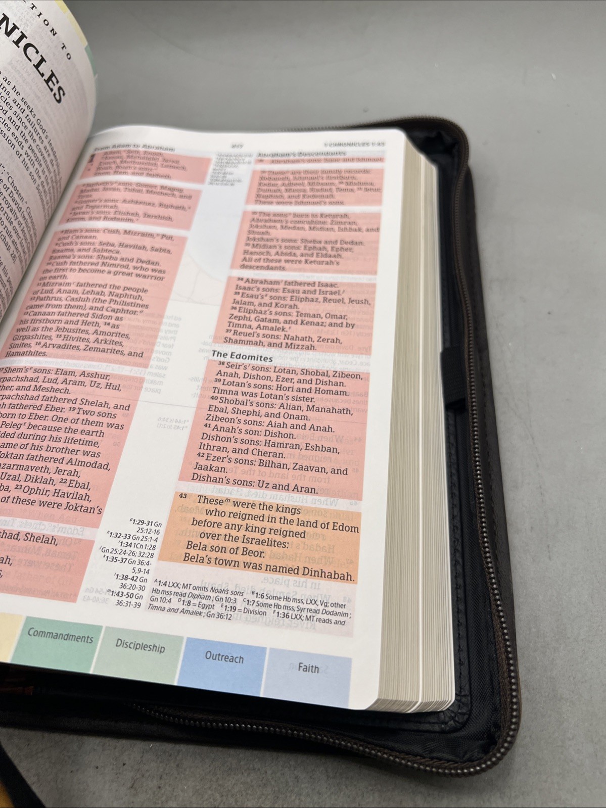 CSB Rainbow Study Bible,Black/Tan LeatherTouch, - CSB Bibles by Holman With Case Item image 13