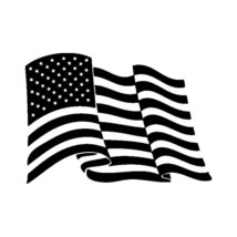 2x American Flag Vinyl Decal Sticker Different color &amp; size for Cars/Bike/Window - £3.51 GBP+