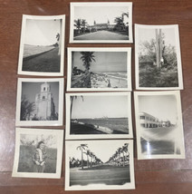 Lot Of 9 Vintage Photo 1940s 3.5x2.5” USA Gilt Beach Palm Tree Cactus BW - £39.55 GBP