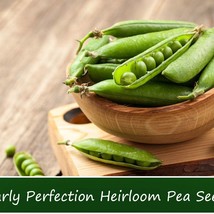 Vegetable Seeds Early Perfection Sweet Shelling Pea 100 Seeds Gardening Fresh US - £12.12 GBP