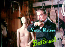 WON TON TON 1975 Original Film Slide &amp; Color 5x7 Print! VICTOR MATURE  #23 - £8.99 GBP