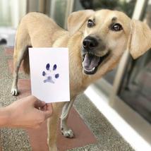 Magic Paw Print Pad™ (Paw Printer) - £10.20 GBP