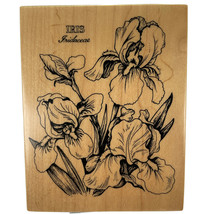 PSX Iris Botanical Floral Flower Rubber Stamp K-040 Vintage 1992 New - £19.31 GBP