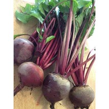 USA Seller Green Top Bunching Beet Seeds Fast Shipping - £10.49 GBP