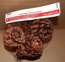 Pinecones Ashland Christmas Cinnamon Scented Smell 3 Dry Quarts Bag USA 149Y - £3.58 GBP