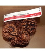 Pinecones Ashland Christmas Cinnamon Scented Smell 3 Dry Quarts Bag USA ... - $6.16 CAD