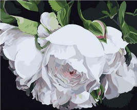 White Flower Painting - DIY Painting By Numbers Kit - £11.65 GBP+