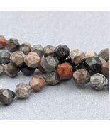 Natural Fossil Coral Beads – Faceted Star Cut Rounds – 9–10mm – 15 Inch Strand - $32.95