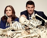 Bones- Complete TV Series in High Definition (See Description/USB) - $59.95